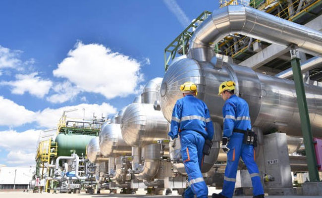 Project Support Services